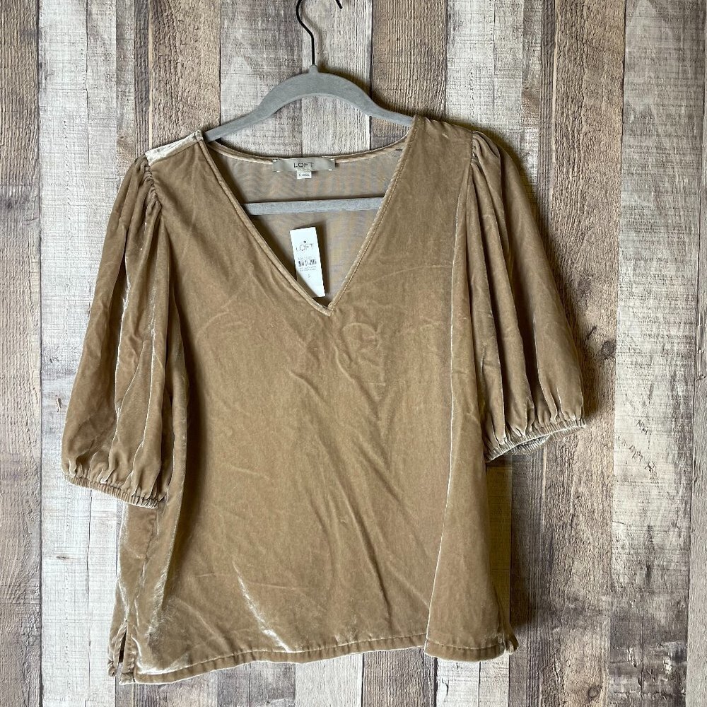 Ann Taylor Loft Velvet V-Neck Top